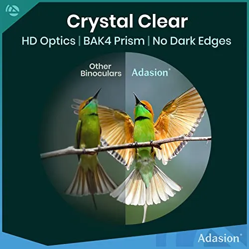 Adasion 12x42 High Definition Binoculars for Adults