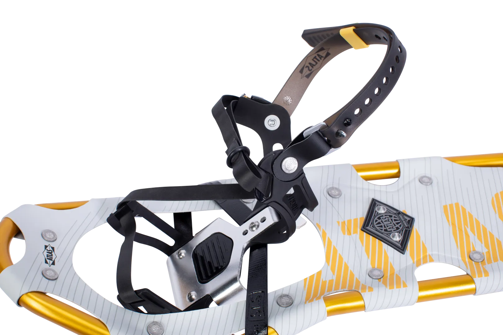 Race Snowshoes