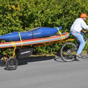 The Salamander SUP Standup Paddleboard and Surfboard Bike Trailer Bicycle Attachment Board Carrier