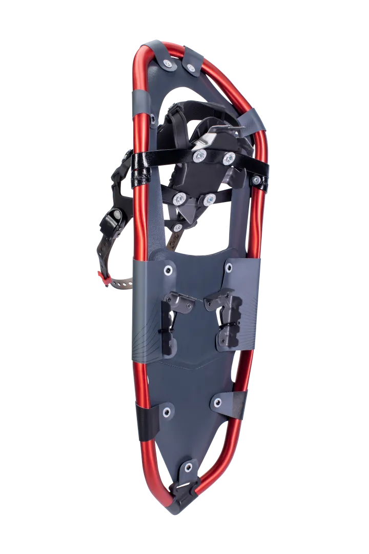 Treeline Snowshoes