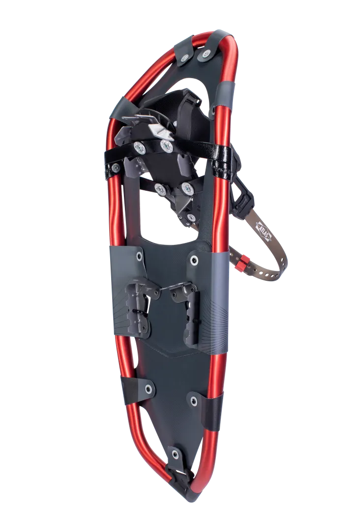 Treeline Snowshoes