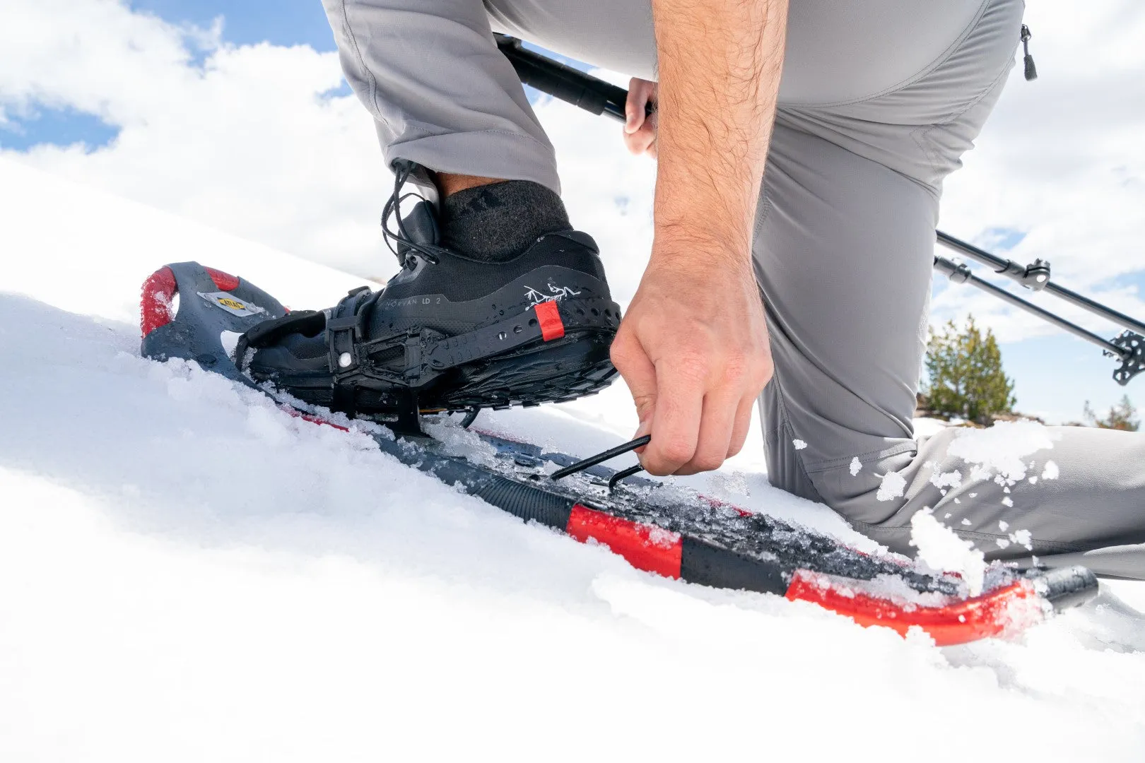Treeline Snowshoes