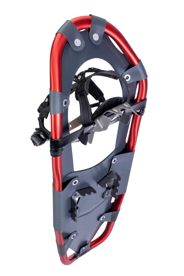 Treeline Snowshoes