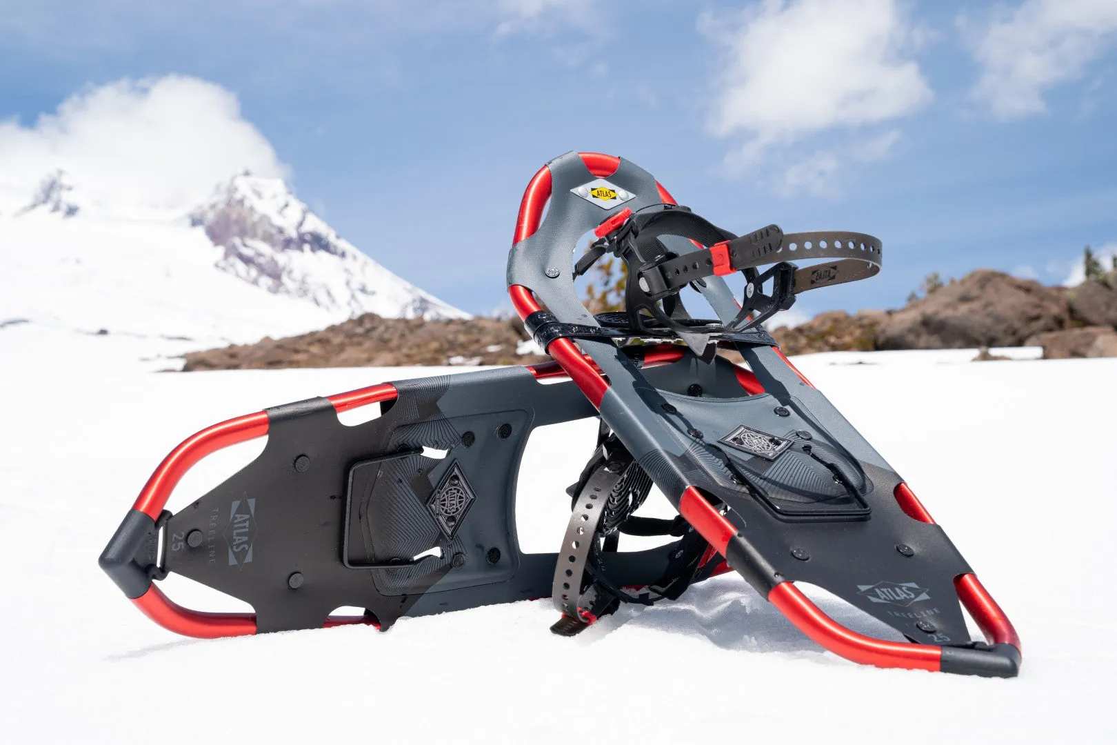 Treeline Snowshoes